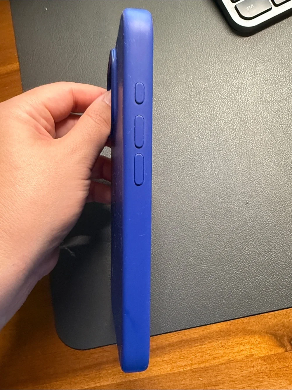 iPhone 16 Pro Apple Case